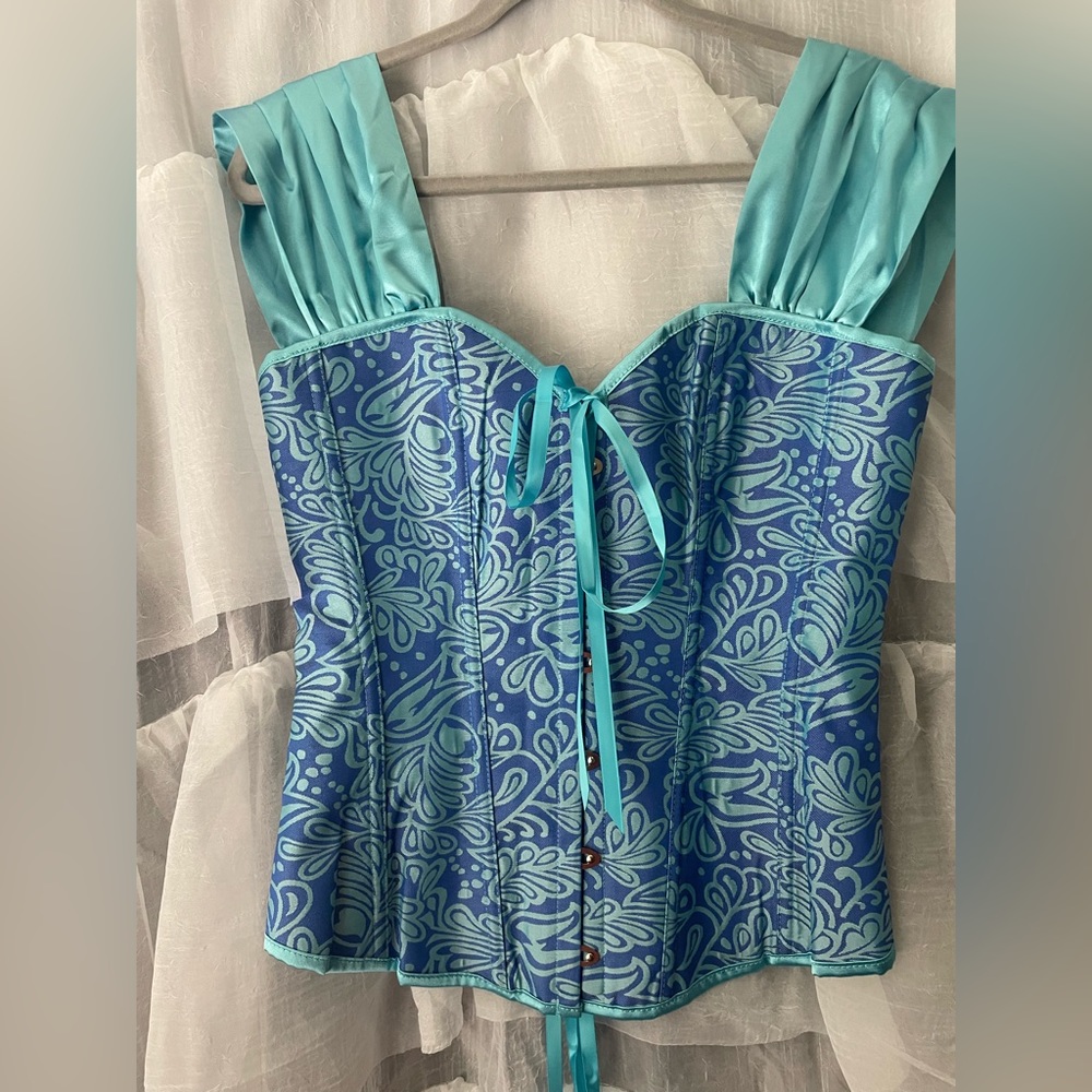 NWTS! Princess Rushed Sleeve Bustier Corset Top